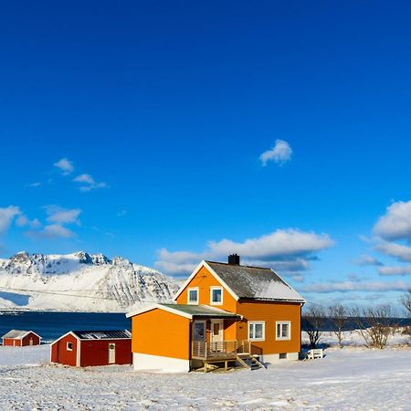 Lillevik Lofoten Gimsoy Екстер'єр фото