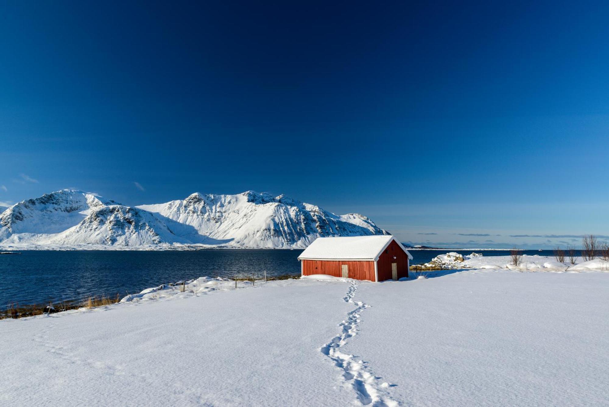 Lillevik Lofoten Gimsoy Екстер'єр фото